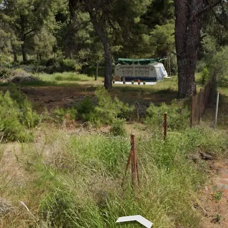Campsite Greece Halkidiki Beach Caravan Park By Towns Neo Marmara, Stiladari, Galini & Neos Marmaras, Breathtaking Sea View & Pine Woods, No Tents Provided, No Water, Electric Or Wc, Direct Road Access, Live On The Beach! * Nea Kerdhilia